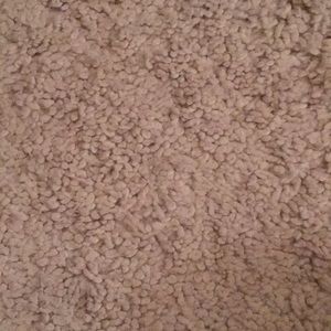 Meet your Posher, Sammy